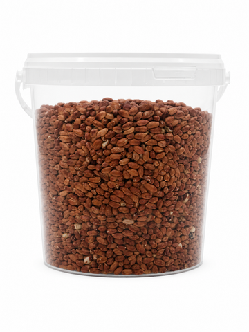 Bulk Peanuts Bird Food Premium – 5kg Bucket