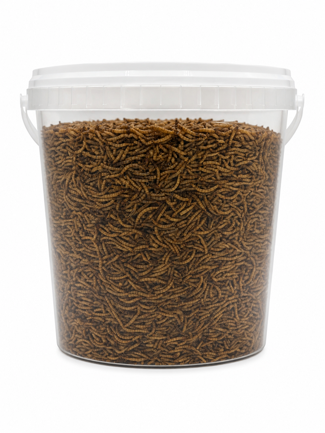 Bulk Mealworms Premium - 1.25kg Bucket