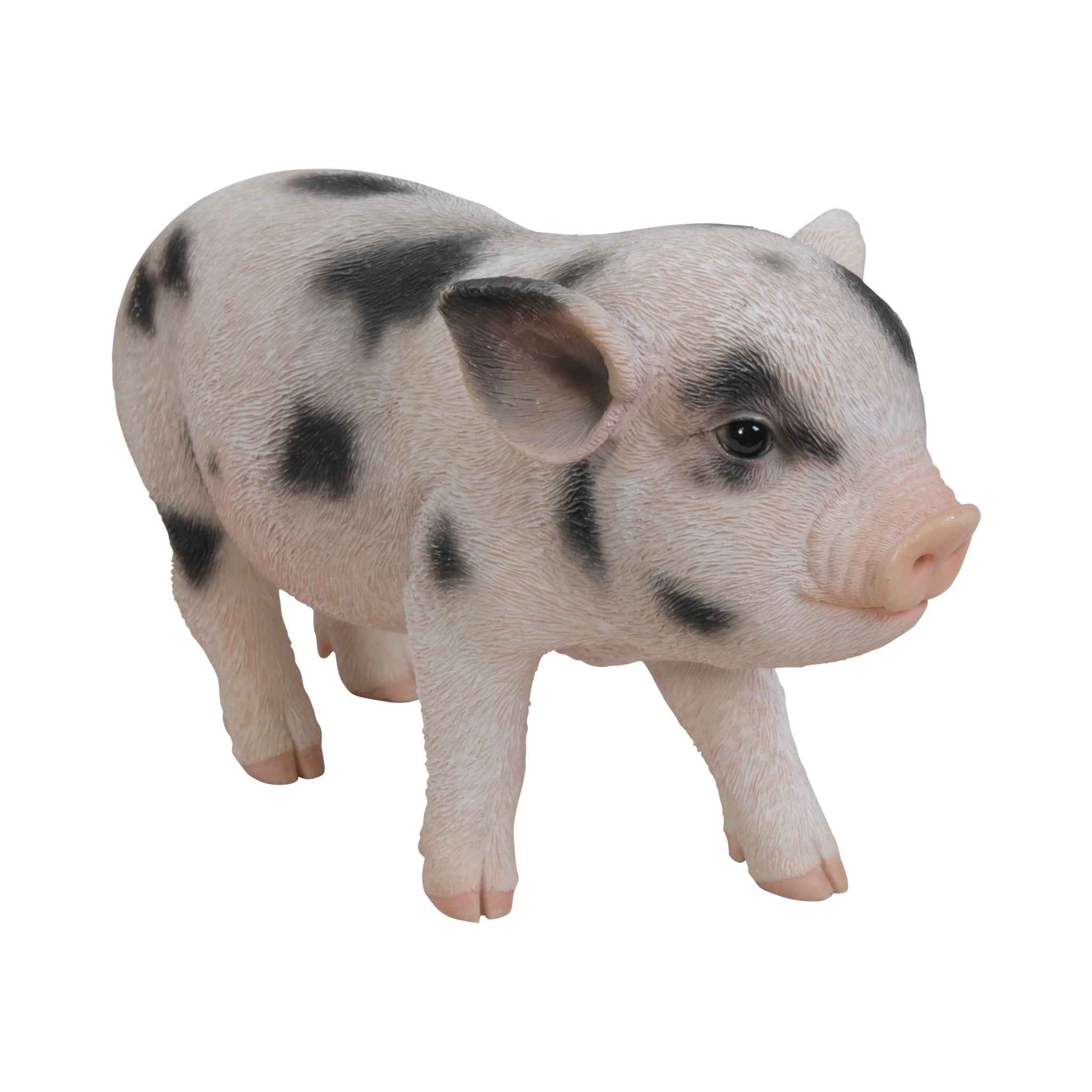 Black Spotted Standing Micro Pig – Farmyard Ornament