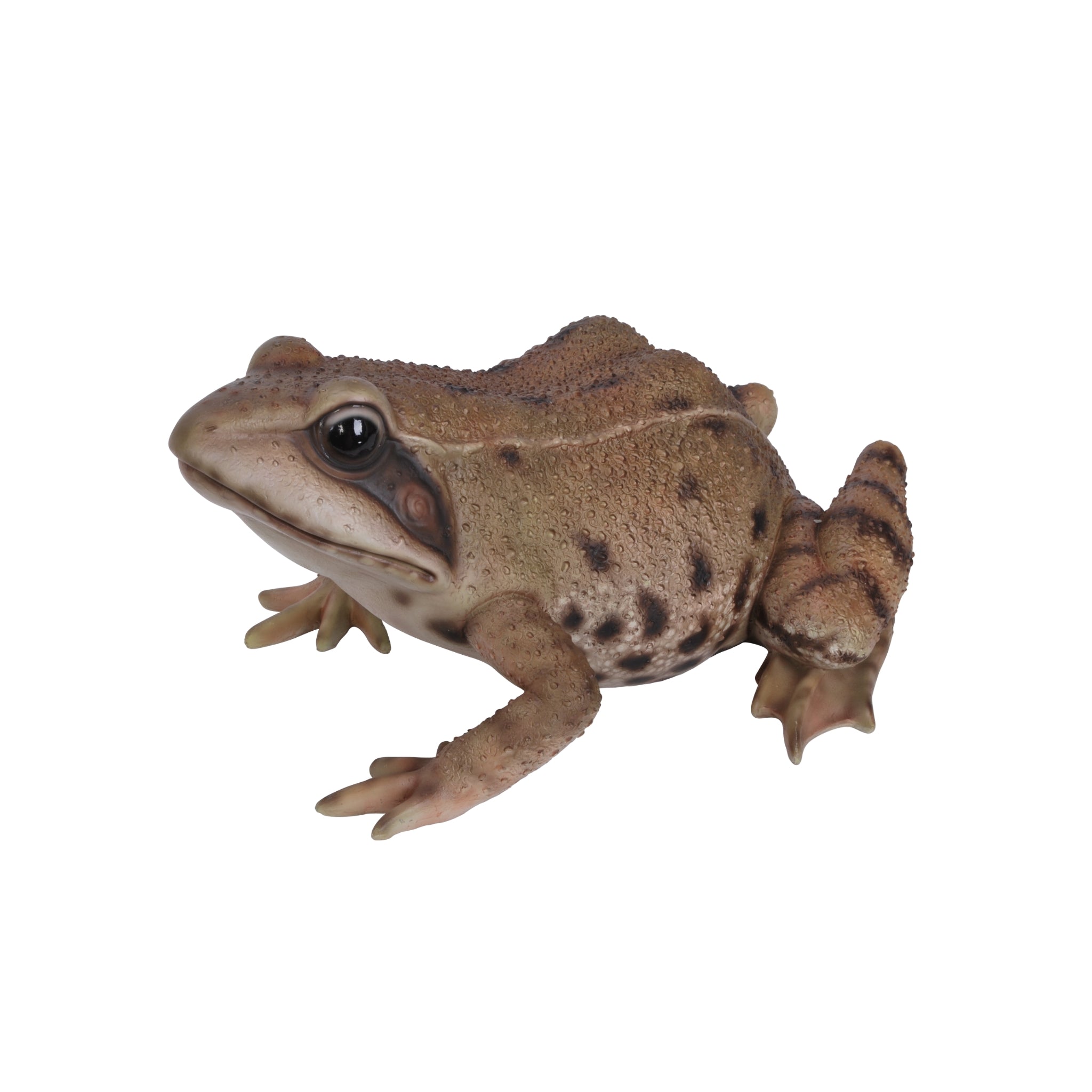 Real Life Frog – Wildlife Garden Ornament