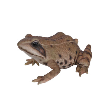Real Life Frog – Wildlife Garden Ornament