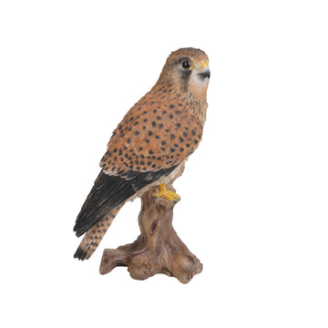 Real Life Kestrel – Wildlife Garden Ornament