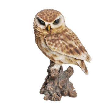 Real Life Little Owl – Wildlife Garden Ornament