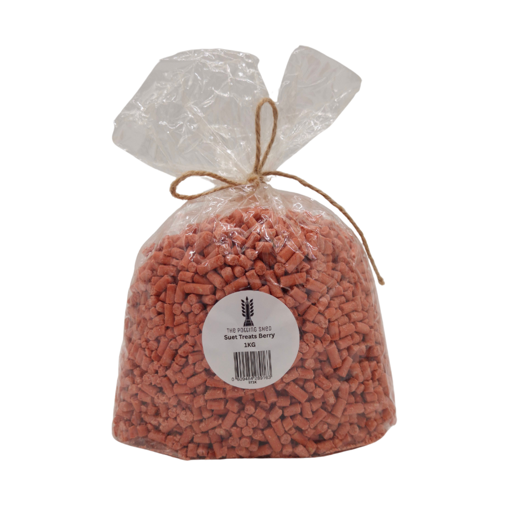Suet Pellets Berry Bird Food – 1kg Compostable Bag